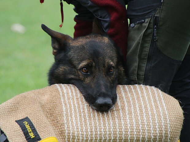 Schutzdienstwochenende Juli 2024
