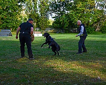ABC_Trainingswochenende_Oktober_2025_DSC_7321-20251019