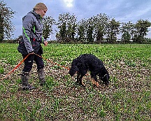 ABC_Trainingswochenende_Oktober_2025_Fährte Gruppe 2 (2)-20251019
