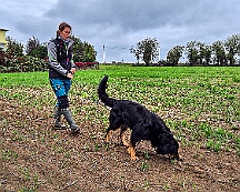 ABC_Trainingswochenende_Oktober_2025_Fährte Gruppe 2 (6)-20251019