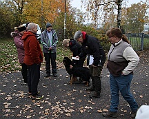 Herbstprüfung_November_2025_FD1A6041-20251108
