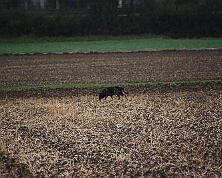 Fruehjahrspruefung_Maerz_2026_FD1A7372-20260314