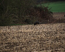 Fruehjahrspruefung_Maerz_2026_FD1A7374-20260314