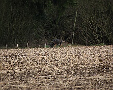 Fruehjahrspruefung_Maerz_2026_FD1A7378-20260314