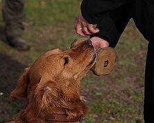 Workshop_Ollmann_Maerz_2026_FD1A6372-20260228