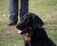 Workshop_Ollmann_Maerz_2026_FD1A6387-20260228